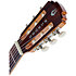 P200 Pleyel