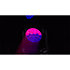 Modena WET StarWay