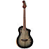 RTPG-LS1 TourPlayer Grey Burst Ortega