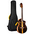 RTP-LTD TourPlayer Ortega