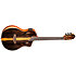 RTP-LTD TourPlayer Ortega