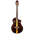 RTP-LTD TourPlayer Ortega
