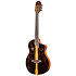 RTP-LTD TourPlayer Ortega