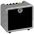 PTWO-E Ampli Électrique 12W Ortega