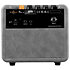 PTWO-E Ampli Électrique 12W Ortega