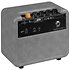PTWO-E Ampli Électrique 12W Ortega