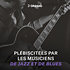 ECG23PL Chromes D'Addario