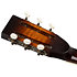 RRG50CE Sunset Burst Ortega