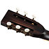RRG60E Antique Brushed Ortega