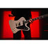Firebird Custom Futura Quicksilver Shift + Housse Epiphone