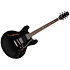 Standard II Collection H-535 Ebony Heritage Guitar