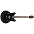 Standard II Collection H-535 Ebony Heritage Guitar