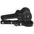 Standard II Collection H-530 Ebony Heritage Guitar