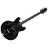 Standard II Collection H-530 Ebony Heritage Guitar