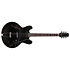 Standard II Collection H-530 Ebony Heritage Guitar