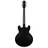 Standard II Collection H-530 Ebony Heritage Guitar