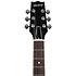 Standard II Collection H-530 Ebony Heritage Guitar