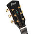 Gold MC6 Ovangkol Natural Cort
