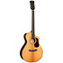 Gold MC6 Ovangkol Natural Cort