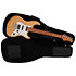 Housse pour Guitare S7, T7 et L7 Larry Carlton