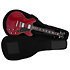 Housse pour Guitare H7 Larry Carlton