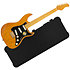 S10 SSS Naturel Larry Carlton
