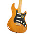 S10 SSS Naturel Larry Carlton