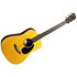 D Jr E Walnut + housse Martin Guitars
