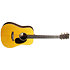 D Jr E Walnut + housse Martin Guitars