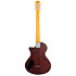 IL5 Tobacco Sunburst Satin Larry Carlton