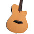 G5A Natural Satin Larry Carlton