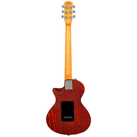 I5S Tobacco Sunburst Larry Carlton