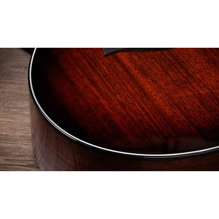 322ce Next Generation Mahogany + Etui Taylor