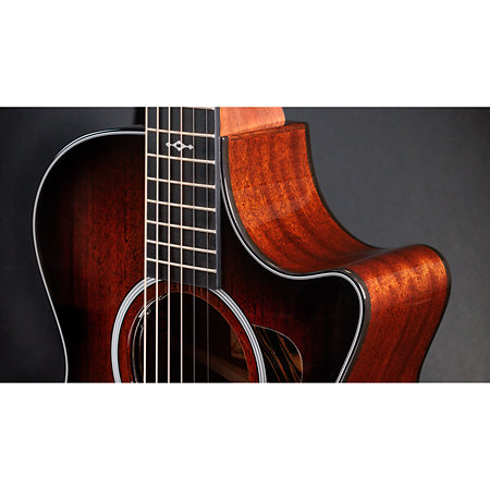 322ce Next Generation Mahogany + Etui Taylor