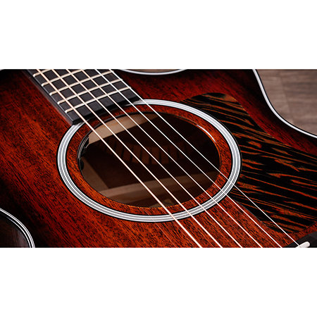 322ce Next Generation Mahogany + Etui Taylor