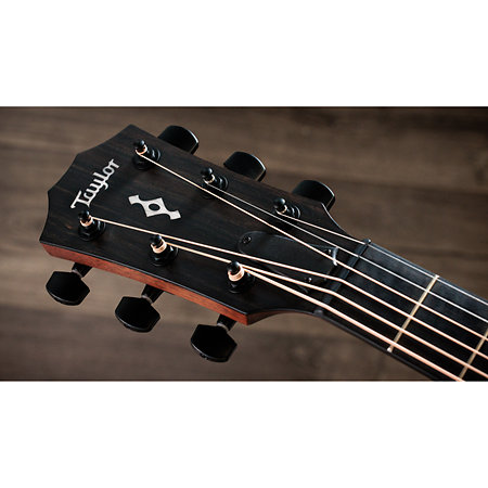 322ce Next Generation Mahogany + Etui Taylor