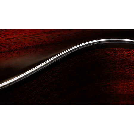 322ce Next Generation Mahogany + Etui Taylor