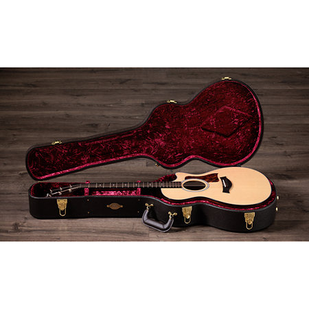 Taylor 312ce Next Generation Natural + Etui