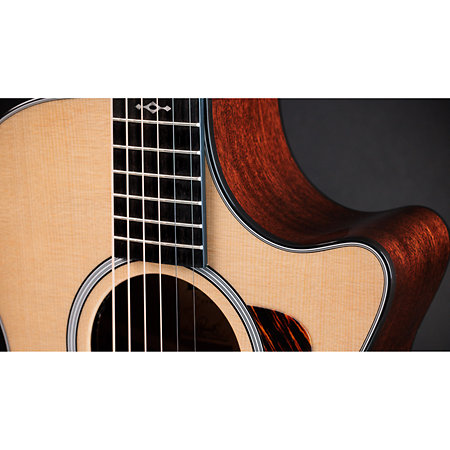 312ce Next Generation Natural + Etui Taylor
