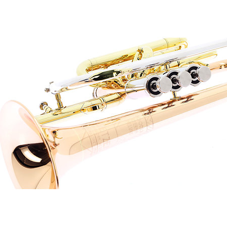 800 DLX Eterna Deluxe + Etui Getzen