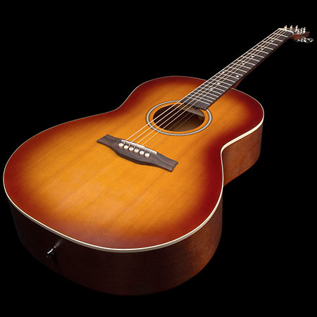 Entourage Folk Rustic Burst Seagull