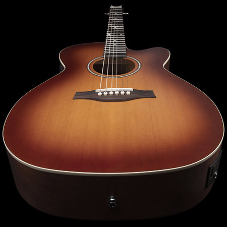 Entourage Rustic Burst CH CW EQ Seagull