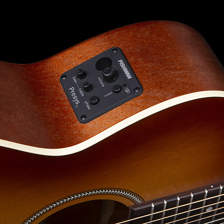 Entourage Rustic Burst CH CW EQ Seagull