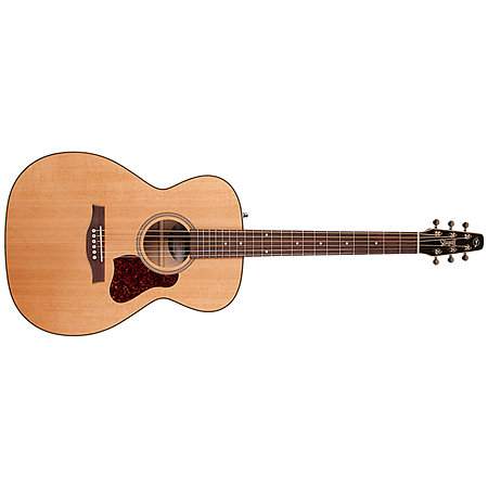 Coastline CH Momentum A/E HG Seagull