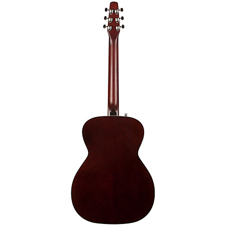 Coastline CH Momentum A/E HG Seagull