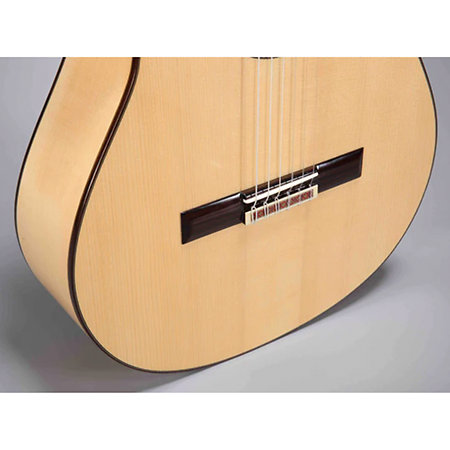 Flamenco N300F Altamira