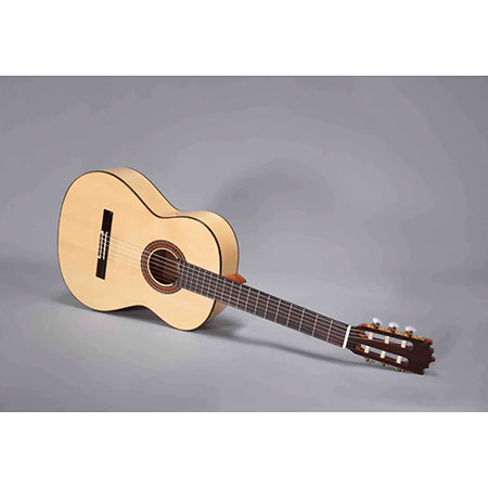 Flamenco N300F Altamira
