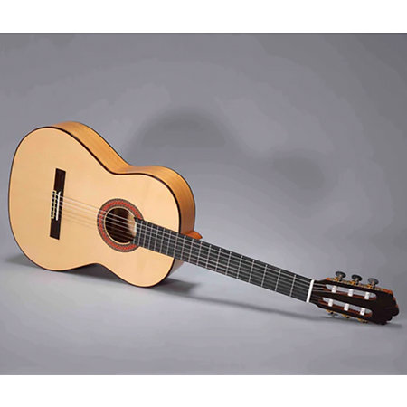 Flamenco N700F + Étui Altamira