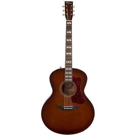 ST30 MJ Havana Burst Element + Housse Norman