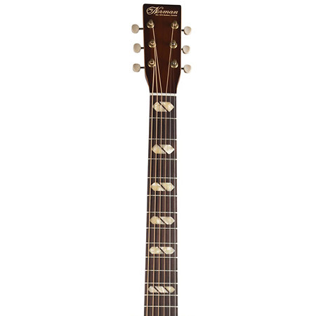 ST30 MJ Havana Burst Element + Housse Norman